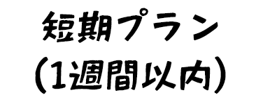 短期プラン（1週間以内）