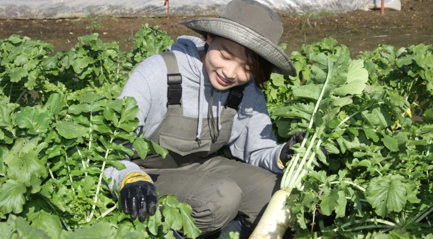 農業研修卒業生 中島 満里奈 さんの農業風景