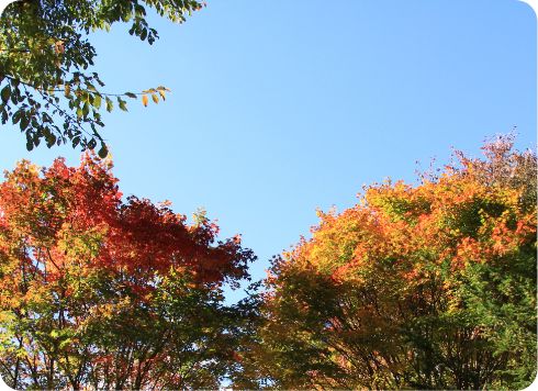 ところ町の秋の風景