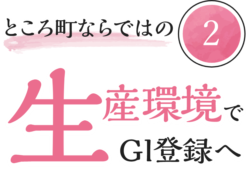 ところ町ならではの生産環境でGI登録へ