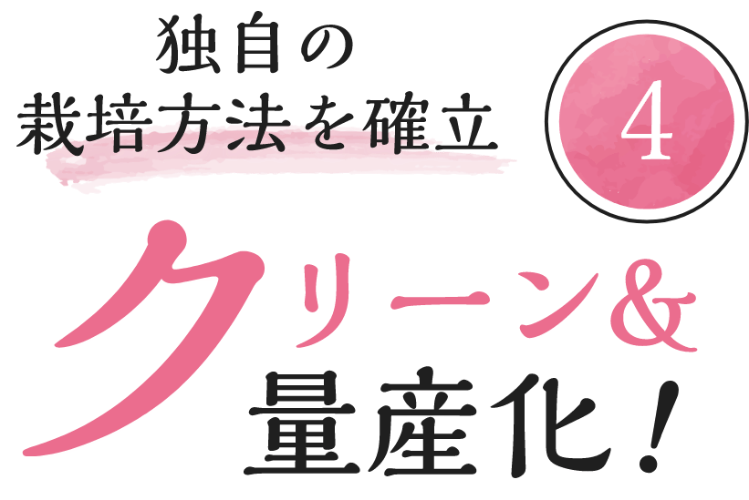 独自の栽培方法を確立　クリーン＆量産化！