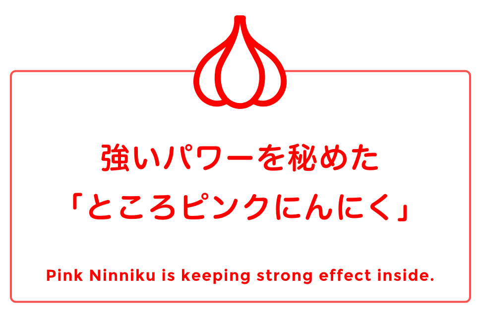 強いパワーを秘めた「ところビンクにんにく」