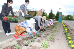 【ＪＡところ通信】女性部　ＪＡ北海道厚生連常呂厚生病院前花壇の花植えを行いました！