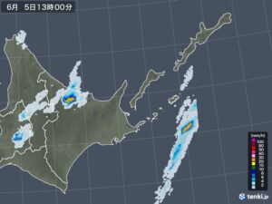 【ＪＡところ通信】６月５日に降雹被害が発生しました