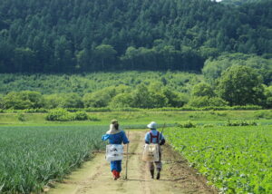 【ＪＡところ通信】農業研修生　稲垣はなさんの研修模様を撮影しました