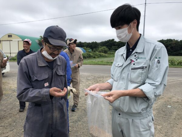 【ＪＡところ通信】ホタテ貝殻粒状化石灰散布実演を行いました