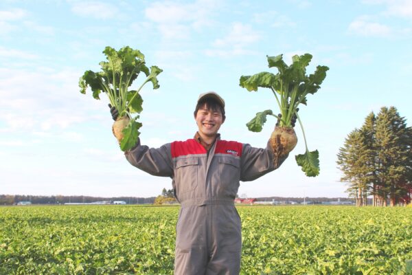 【ＪＡところ通信】てん菜の収穫風景を撮影しました