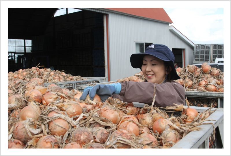 【生産者の声】玉ねぎ生産者 輝く女性たち 石澤 園江さん