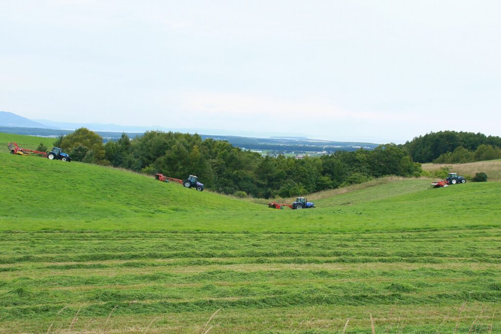 【ＪＡところ通信】ＪＡ川東牧場採草地の共同草刈り作業を行いました