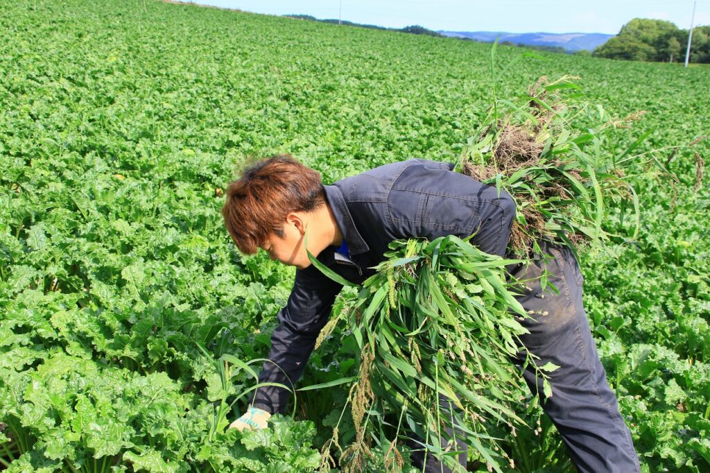 【ＪＡところ通信】担い手受入協議会が農業実習生を受入れました