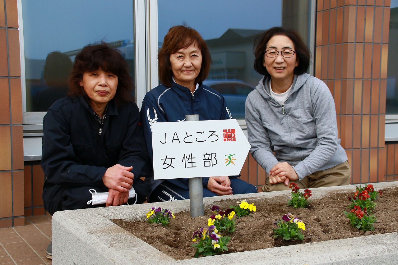 【ＪＡところ通信】女性部がＪＡ事務所前の花壇整備を行いました