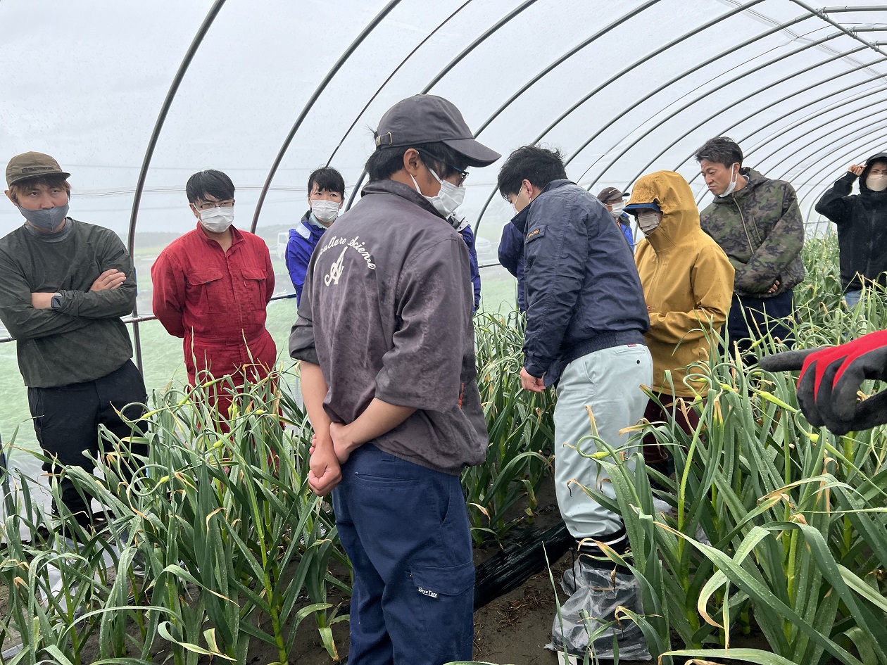 【ＪＡところ通信】常呂町にんにく耕作者部会が現地研修会を開きました