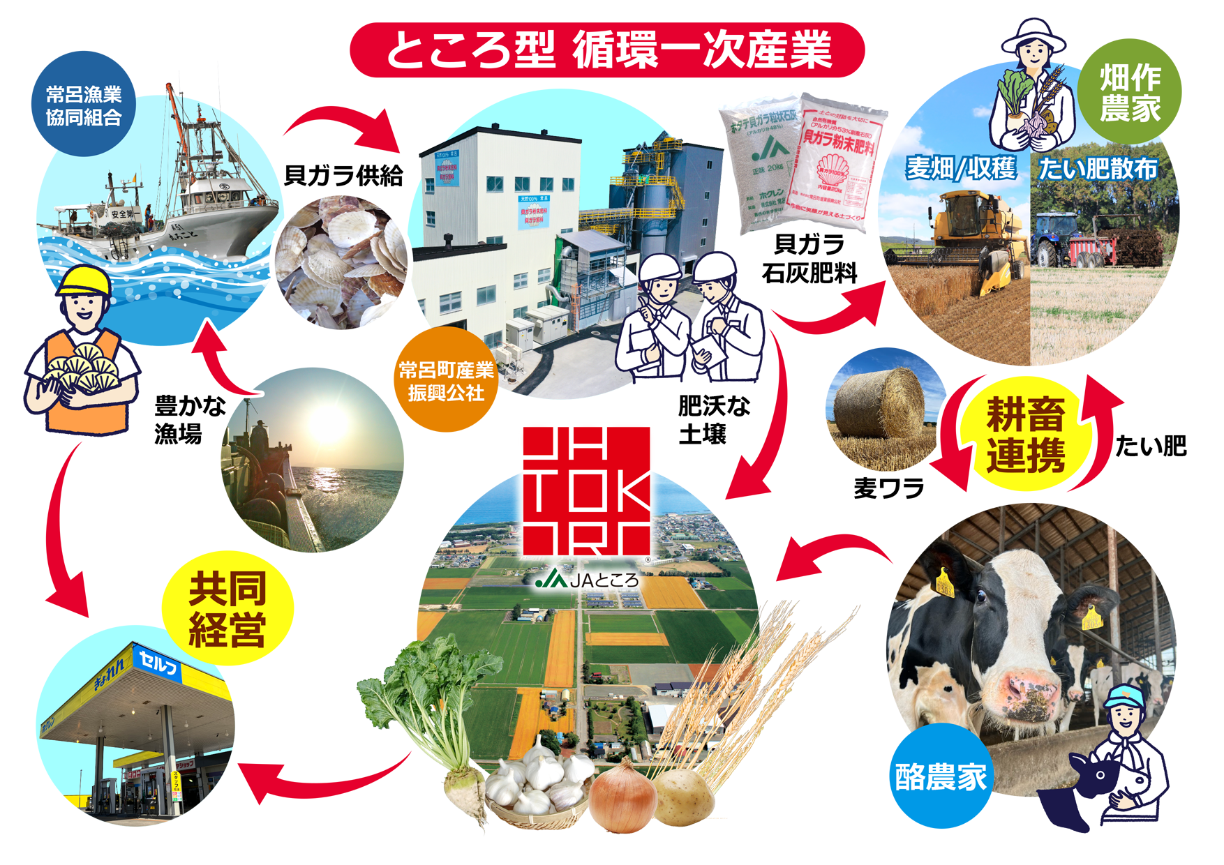 【更新情報】常呂町の輪作体系イメージ図などを掲載しました